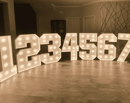 Marquee Letters/ Numbers (Rental Per Letter)